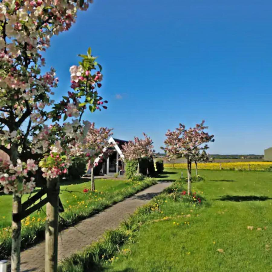 Hotelhuisje Warmenhuizen #C Bagian luar foto