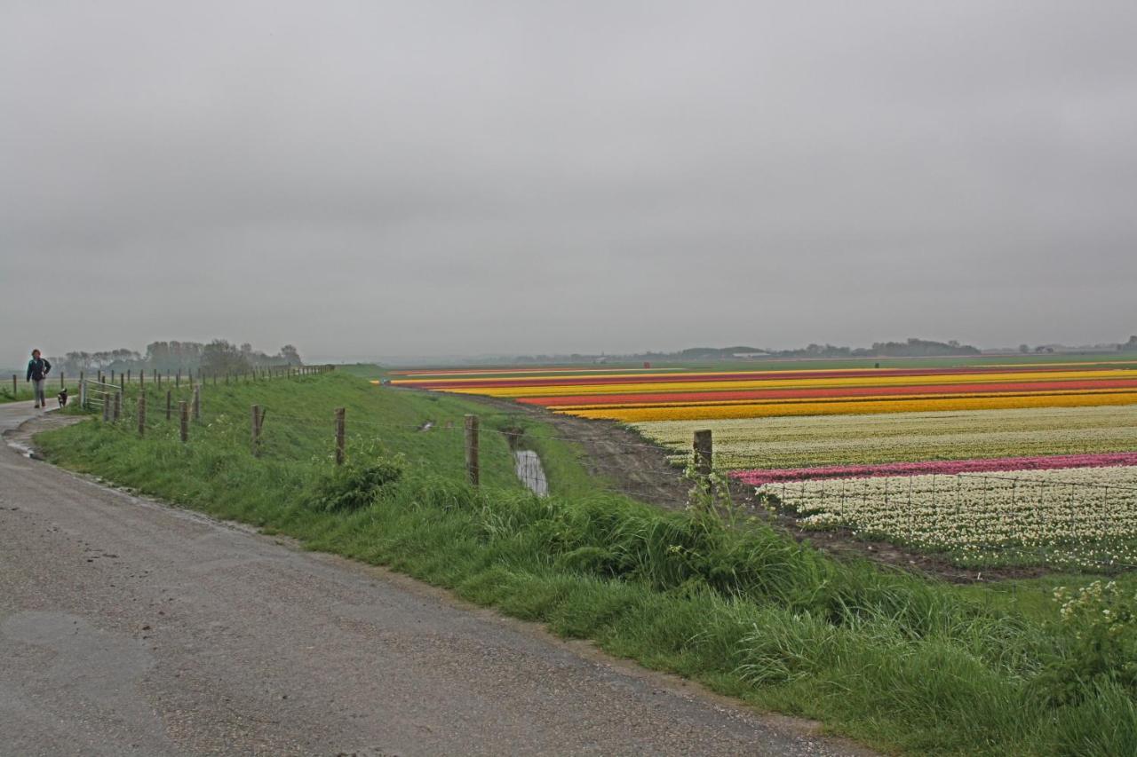 Hotelhuisje Warmenhuizen #C Bagian luar foto