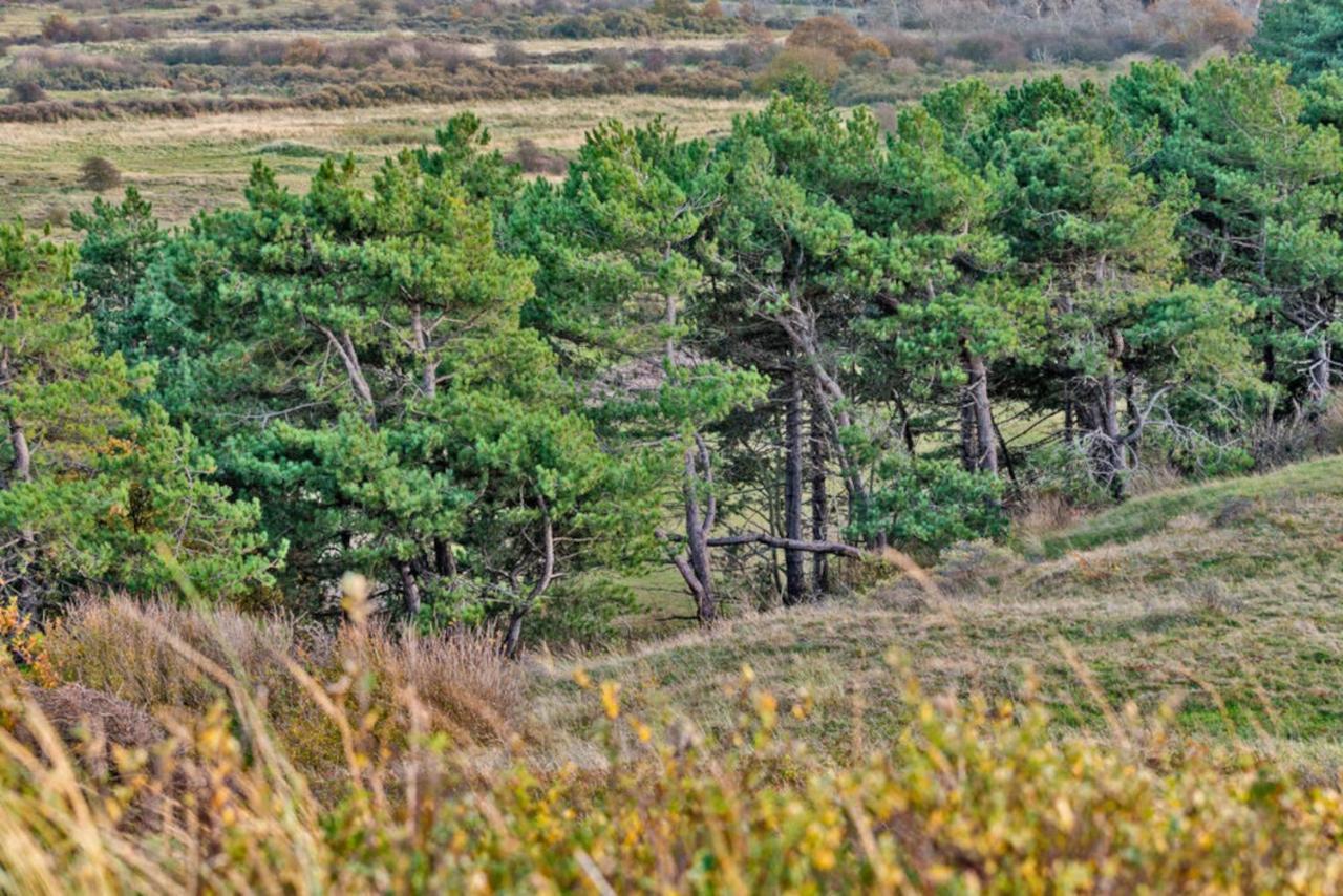 Hotelhuisje Warmenhuizen #C Bagian luar foto